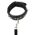 Wegański kołnierz dla zwierząt z regulowaną smyczą - elegancki i przyjazny dla środowiska
