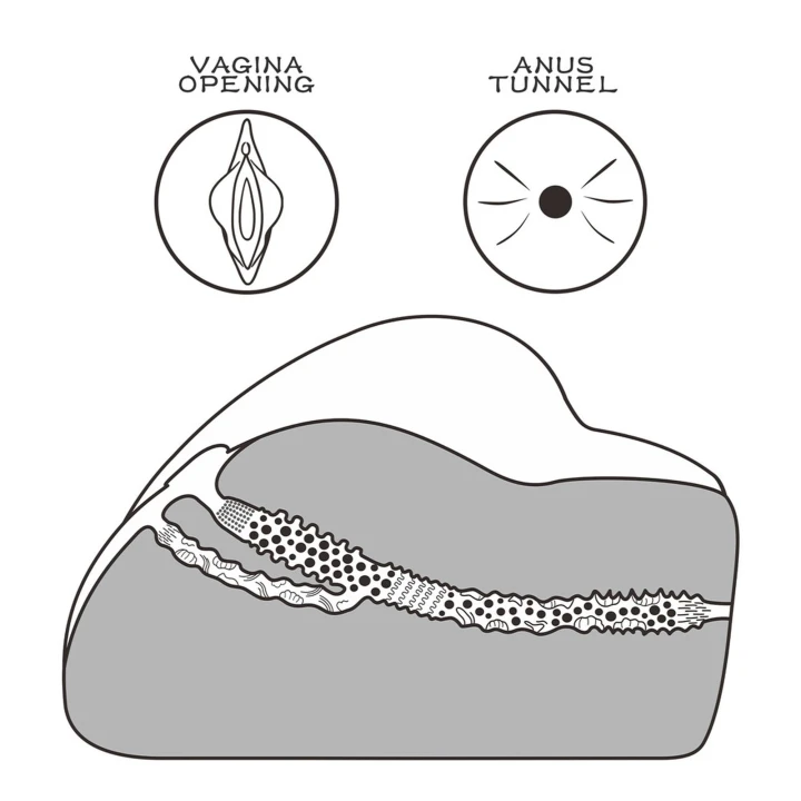 Masturbator męski Streetgirl's #3, ultra realistyczny, 19,5 cm, wykonany z TPE