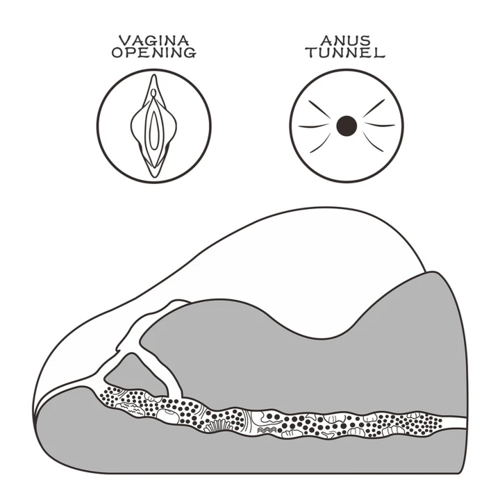 Masturbator realistyczny, Streetgirl's #2 Czarny, TPE, 21x19,5x10 cm