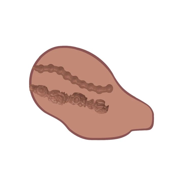 Masturbator anatomiczny z wibratorem, realistyczny, brązowy ton skóry, 8.2 x 8.8 x 5.2 in