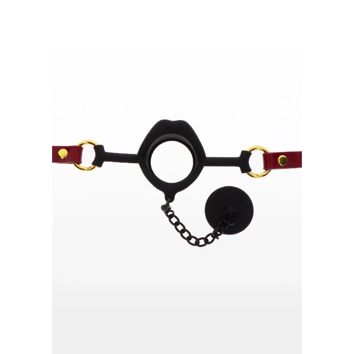 Kinky Gag with Plug Red