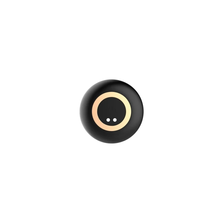 Masażer prostaty z 10 trybami, USB i pilotem - wodoodporny stymulator przyjemności