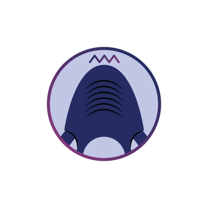 Stymulator łechtaczkowy dla par z 10 trybami wibracji, wodoodporny, silikonowy