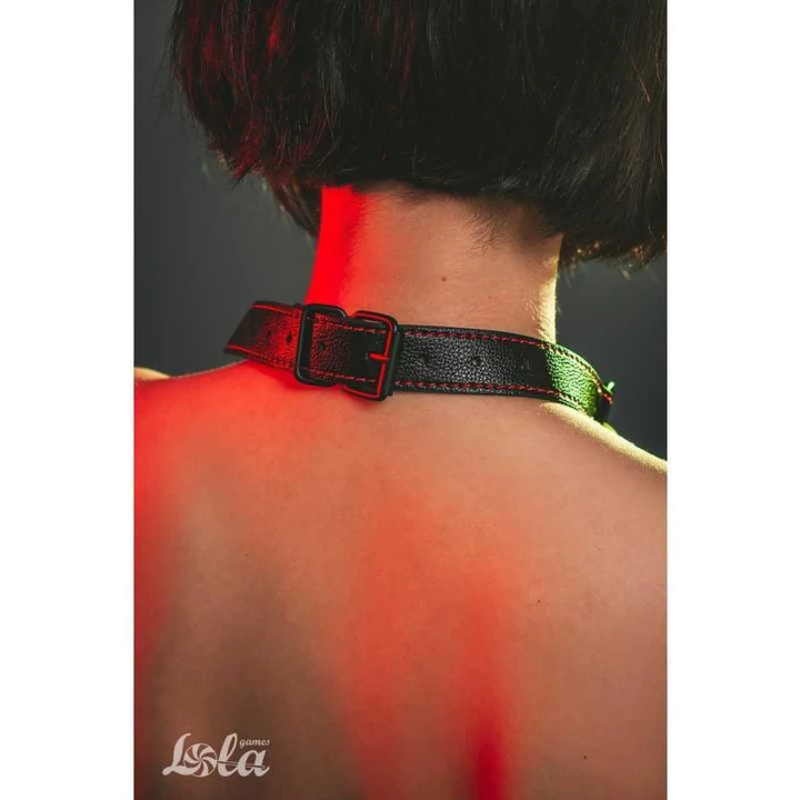 Knebel silikonowy Bone Gag do bondage, średnica 1,9 cm, czarny, dla początkujących i zaawansowanych