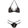 Komplet koronkowy COTTELLI LINGERIE - Zmysłowy biustonosz, stringi ouvert, elegancki zestaw