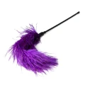 Piórko do drażnienia Pejcz-Purple, długość 54 cm, materiał PVC, kolor fioletowy