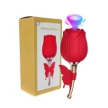 Stymulator łechtaczki Flirting Partner, Silikon, 10 funkcji, USB, Wibracje