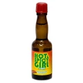 Suplement diety Hot Spicy Girl 20ml – L-arginina, pobudzenie pożądania, poprawa witalności