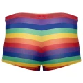 Bokserki męskie Svenjoyment, 90% poliester, 10% elastan, tęczowe paski