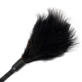 Piórko do pieszczot Fetish B-Series, długość 41 cm, idealne do BDSM i gry wstępnej