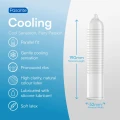 Prezerwatywy cooling Pasante 144 szt. - lateks, prążkowane, chłodzący efekt