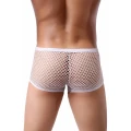 Bokserki męskie PARIS HOLLYWOOD – siateczka, półprzezroczyste, elastyczny nylon-elastan