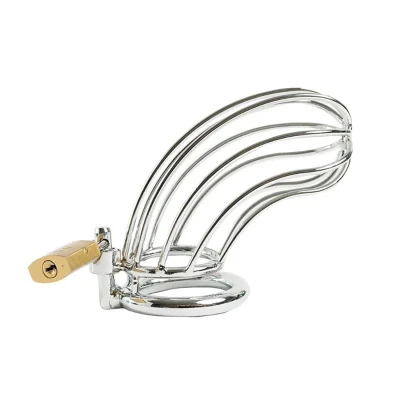 Klatka na penisa ze stali nierdzewnej 12 cm, z zamkiem i 3 pierścieniami rozmiarów M/L/XL