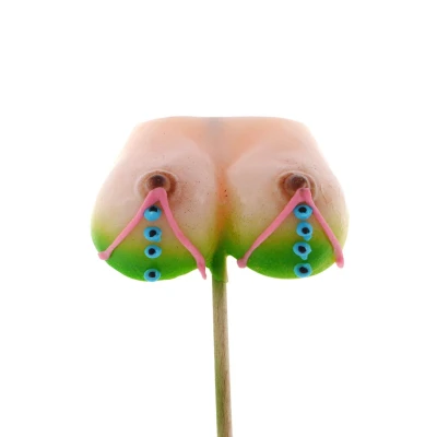 Lizak Biust - Realistyczny, 7x9cm, Idealny na 18-stki i Urodziny