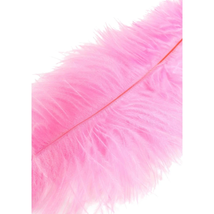 Wibrator łaskotkowy EXTREME by HIDDEN DESIRE, 68cm, podwójne pióra, naturalne materiały