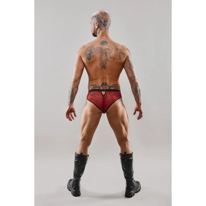 Majtki brazyliany REGNES FETISH PLANET - czarno-czerwony tiul, otwór z przodu, rozmiar XL