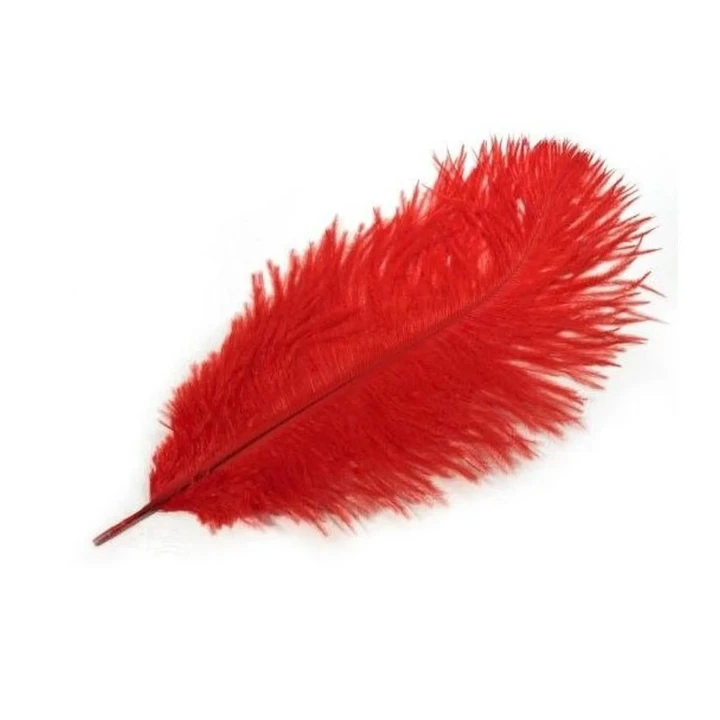 Piórko erotyczne - Delikatne, Miękkie, 19 cm, Idealne do Igraszek Miłosnych