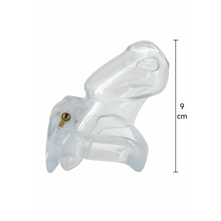 Klatka na penisa CLEAR CONTROL by HIDDEN DESIRE, 10 cm, akrylowy plastik, 4 pierścienie