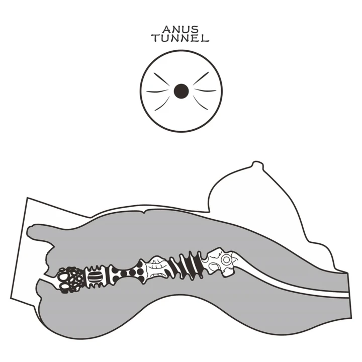 Doll Transseksualna Streetgirl #8, TPE, 16,5