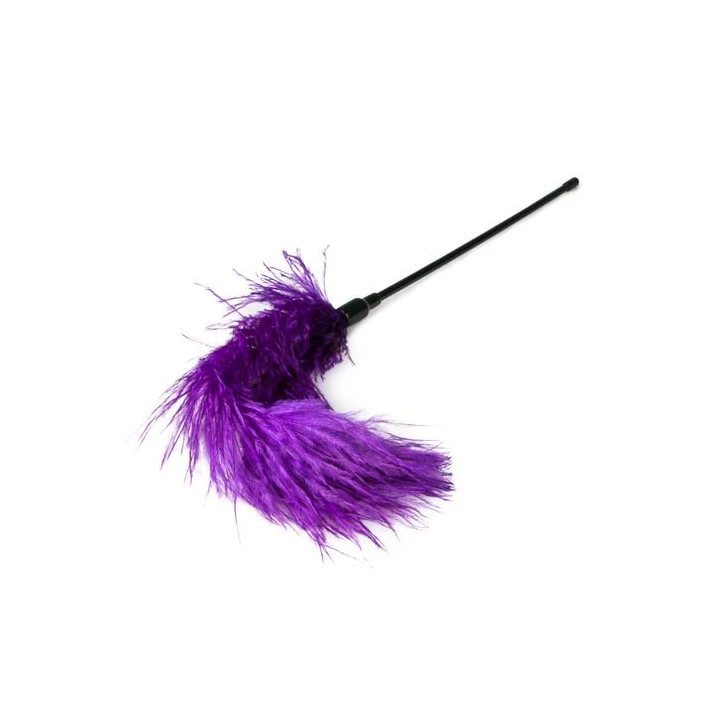 Piórko do drażnienia Pejcz-Purple, długość 54 cm, materiał PVC, kolor fioletowy