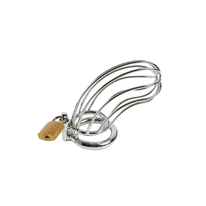 Klatka na penisa ze stali nierdzewnej 12 cm, z zamkiem i 3 pierścieniami rozmiarów M/L/XL