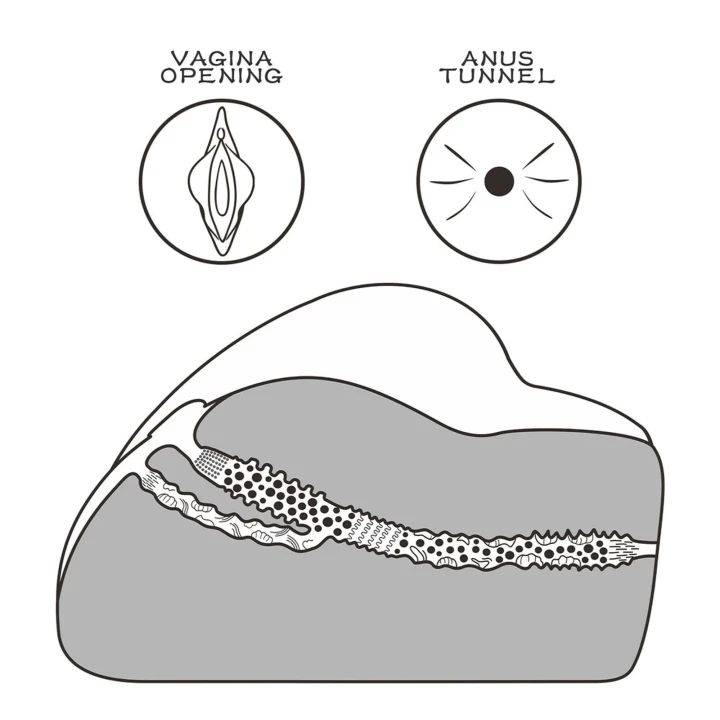 Masturbator TPE Streetgirl's #3, kompaktowy 19,5 x 16 x 9 cm, realistyczne doznania