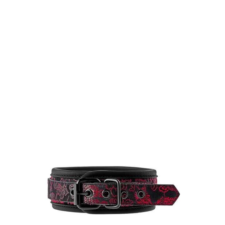 Obroża i smycz neoprenowa BLAZE DELUXE, regulowana, z wymiennym łańcuchem