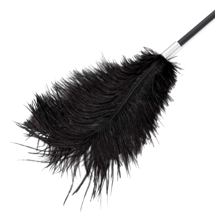 Zabawa BDSM: Fetish B-Series Piórko & Bat 43,5cm - Intensywne Pieszczoty i Eksploracja