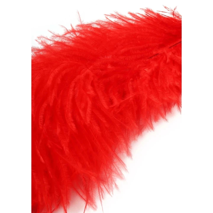 Pióro do łaskotania - EXTREME by HIDDEN DESIRE, długość 68cm, naturalne pióra