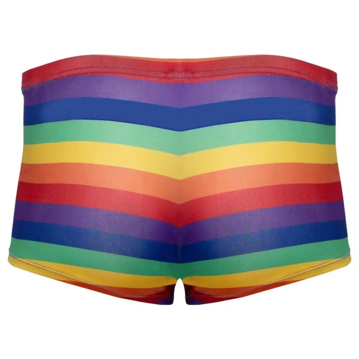 Bokserki męskie Svenjoyment, 90% poliester, 10% elastan, tęczowe paski
