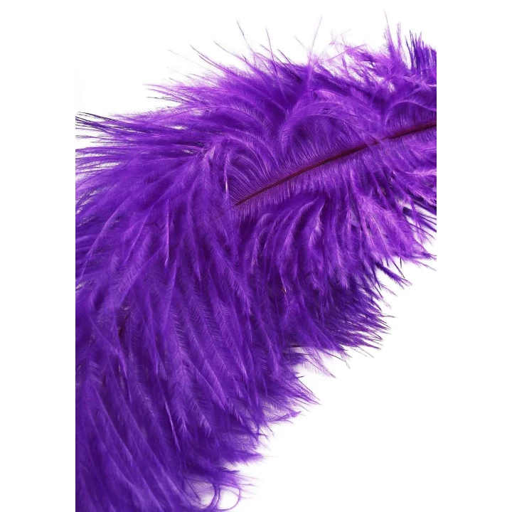 Piórka łaskoczące podwójne HIDDEN DESIRE EXTREME – pióra naturalne, długość 68cm, zmysłowe doznania