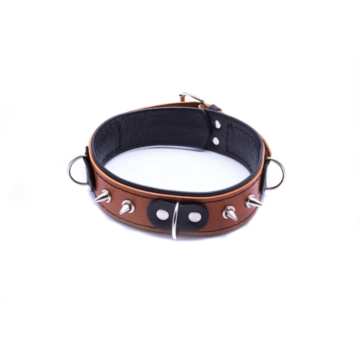 Obroża skórzana WHIPS z ćwiekami, 42-50 cm, długość smyczy 120 cm, koniakowa