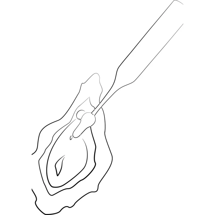 Stymulator łechtaczkowy ROMP Pop - silikonowe końcówki, 3 tryby wibracji, wodoodporny