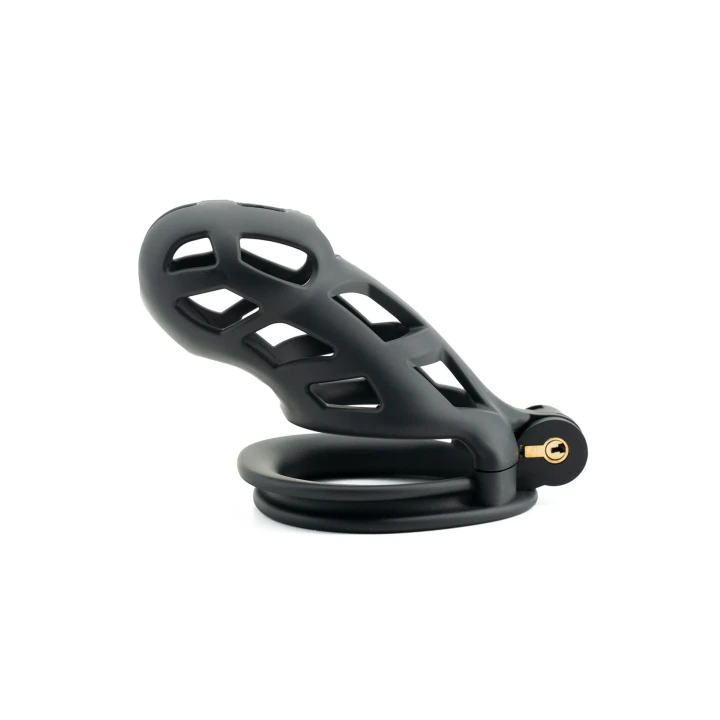 Klatka na penisa HIDDEN DESIRE, ABS, 4 rozmiary pierścieni, 11 cm długości całkowitej