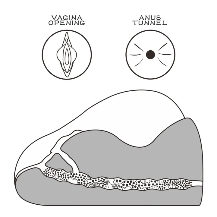 Masturbator Streetgirl's #2 Black, TPE, 21x19.5x10 cm, ultra realistyczny materiał